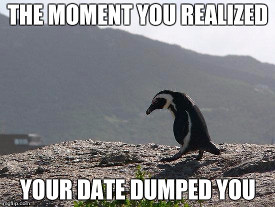 Sad Penguin | THE MOMENT YOU REALIZED; YOUR DATE DUMPED YOU | image tagged in sad penguin | made w/ Imgflip meme maker