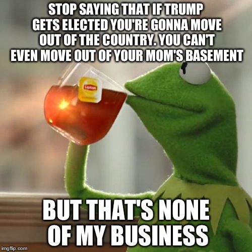 It really annoys me when people say this. | STOP SAYING THAT IF TRUMP GETS ELECTED YOU'RE GONNA MOVE OUT OF THE COUNTRY. YOU CAN'T EVEN MOVE OUT OF YOUR MOM'S BASEMENT; BUT THAT'S NONE OF MY BUSINESS | image tagged in memes,but thats none of my business,kermit the frog,donald trump,hillary for prison | made w/ Imgflip meme maker