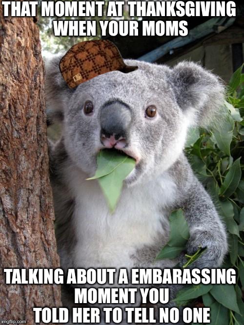 Surprised Koala Meme | THAT MOMENT AT THANKSGIVING WHEN YOUR MOMS; TALKING ABOUT A EMBARASSING MOMENT YOU TOLD HER TO TELL NO ONE | image tagged in memes,surprised koala,scumbag | made w/ Imgflip meme maker