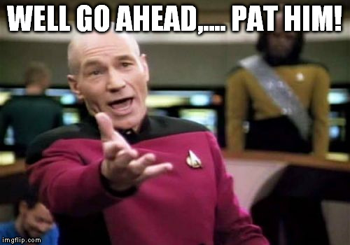 Picard Wtf Meme | WELL GO AHEAD,.... PAT HIM! | image tagged in memes,picard wtf | made w/ Imgflip meme maker