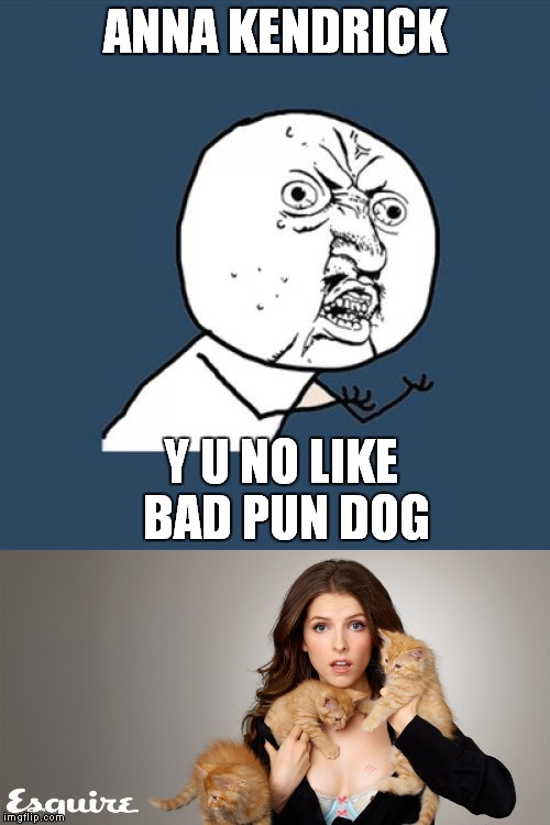 She likes kitties.... | ANNA KENDRICK; Y U NO LIKE BAD PUN DOG | image tagged in anna kendrick,y u no | made w/ Imgflip meme maker