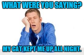 WHAT WERE YOU SAYING? MY CAT KEPT ME UP ALL NIGHT. | image tagged in so tired,cats | made w/ Imgflip meme maker