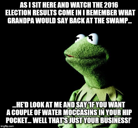 Contemplative Kermit: Election 2016 |  AS I SIT HERE AND WATCH THE 2016  ELECTION RESULTS COME IN I REMEMBER WHAT GRANDPA WOULD SAY BACK AT THE SWAMP... ...HE'D LOOK AT ME AND SAY 'IF YOU WANT A COUPLE OF WATER MOCCASINS IN YOUR HIP POCKET... WELL THAT'S JUST YOUR BUSINESS!' | image tagged in contemplative kermit,memes,election 2016,kermit,swamp,water | made w/ Imgflip meme maker