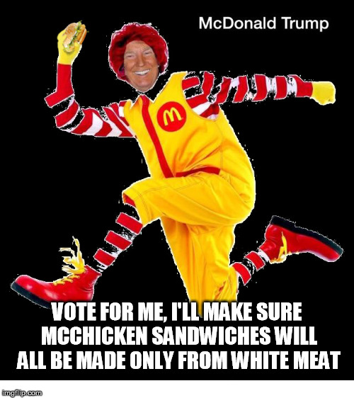 Donald Mcchicken  | VOTE FOR ME, I'LL MAKE SURE MCCHICKEN SANDWICHES WILL ALL BE MADE ONLY FROM WHITE MEAT | image tagged in election 2016 | made w/ Imgflip meme maker