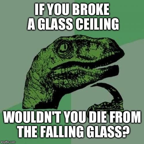 Philosoraptor Meme | IF YOU BROKE A GLASS CEILING WOULDN'T YOU DIE FROM THE FALLING GLASS? | image tagged in memes,philosoraptor | made w/ Imgflip meme maker