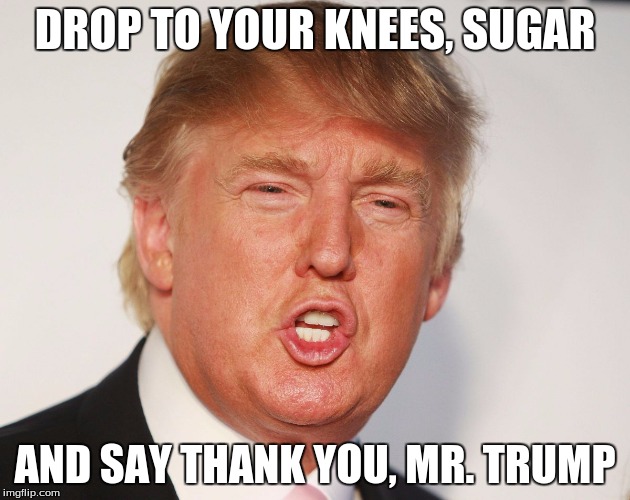 Donald Trump | DROP TO YOUR KNEES, SUGAR; AND SAY THANK YOU, MR. TRUMP | image tagged in donald trump | made w/ Imgflip meme maker