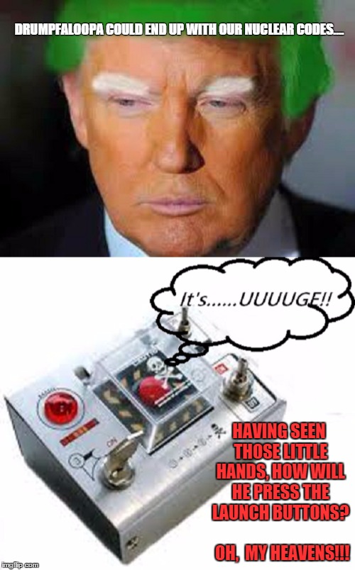 Drumpf-a-Loopa | DRUMPFALOOPA COULD END UP WITH OUR NUCLEAR CODES.... HAVING SEEN THOSE LITTLE HANDS, HOW WILL HE PRESS THE LAUNCH BUTTONS?            OH,  MY HEAVENS!!! | image tagged in memes,trump,nuclear bomb,paxxx | made w/ Imgflip meme maker