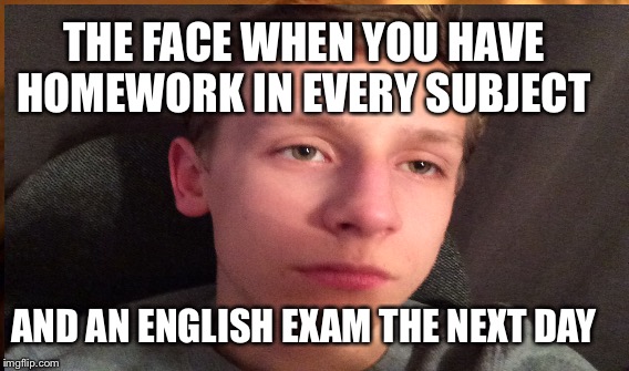 THE FACE WHEN YOU HAVE HOMEWORK IN EVERY SUBJECT; AND AN ENGLISH EXAM THE NEXT DAY | image tagged in school,sad | made w/ Imgflip meme maker