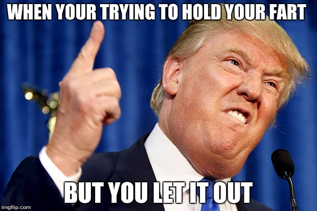 Donald Trump | WHEN YOUR TRYING TO HOLD YOUR FART; BUT YOU LET IT OUT | image tagged in donald trump | made w/ Imgflip meme maker