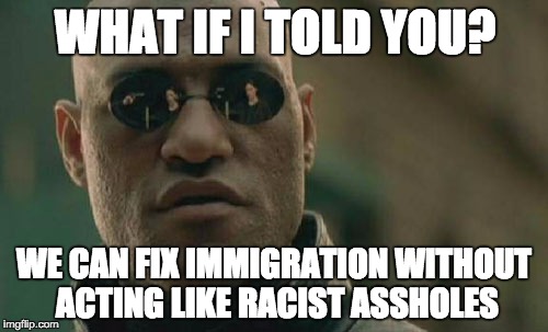 Matrix Morpheus Meme | WHAT IF I TOLD YOU? WE CAN FIX IMMIGRATION WITHOUT ACTING LIKE RACIST ASSHOLES | image tagged in memes,matrix morpheus | made w/ Imgflip meme maker