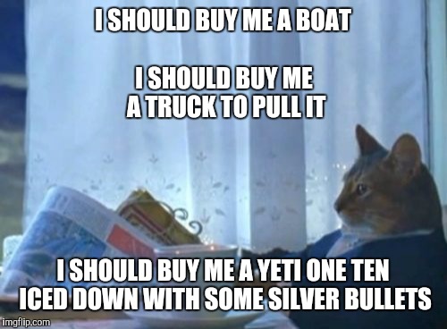 I Should Buy A Boat Cat Meme | I SHOULD BUY ME A BOAT; I SHOULD BUY ME A TRUCK TO PULL IT; I SHOULD BUY ME A YETI ONE TEN ICED DOWN WITH SOME SILVER BULLETS | image tagged in memes,i should buy a boat cat | made w/ Imgflip meme maker