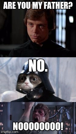 Star Wars Episode V: Darth Grumpy Strikes! | ARE YOU MY FATHER? NO. NOOOOOOOO! | image tagged in star wars no,grumpy cat star wars,luke skywalker,memes,funny,star wars | made w/ Imgflip meme maker