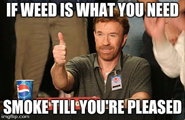 Chuck Norris Approves Meme | IF WEED IS WHAT YOU NEED; SMOKE TILL YOU'RE PLEASED | image tagged in memes,chuck norris approves | made w/ Imgflip meme maker