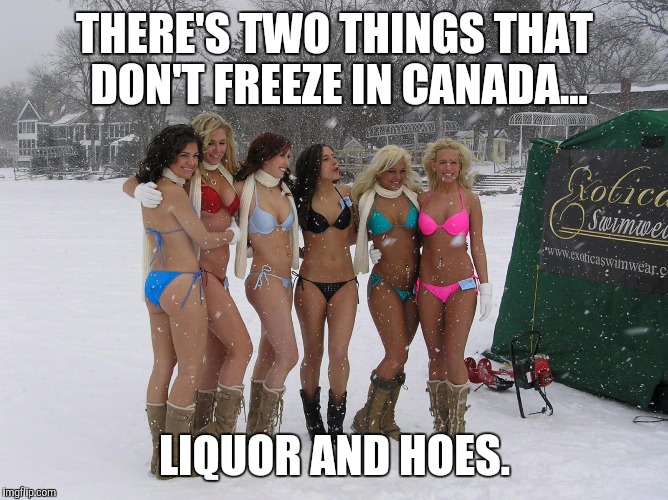 It gets cold here no doubt... | THERE'S TWO THINGS THAT DON'T FREEZE IN CANADA... LIQUOR AND HOES. | image tagged in memes,funny,hoes,canada | made w/ Imgflip meme maker