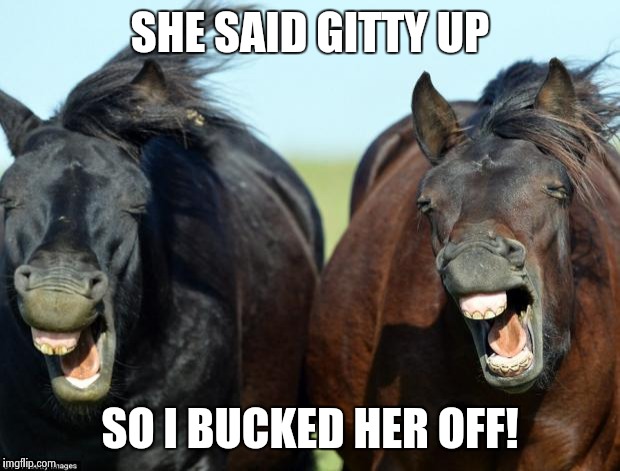 Horses | SHE SAID GITTY UP; SO I BUCKED HER OFF! | image tagged in horses | made w/ Imgflip meme maker