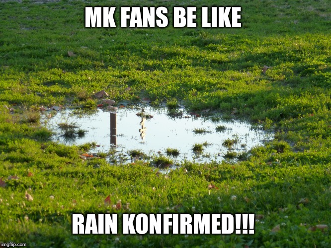 puddle-flood | MK FANS BE LIKE; RAIN KONFIRMED!!! | image tagged in puddle-flood | made w/ Imgflip meme maker
