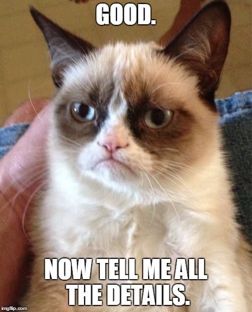 Grumpy Cat Meme | GOOD. NOW TELL ME ALL THE DETAILS. | image tagged in memes,grumpy cat | made w/ Imgflip meme maker