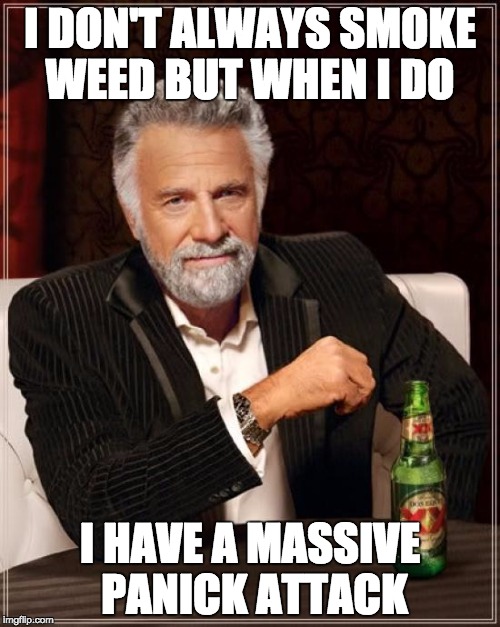 The Most Interesting Man In The World | I DON'T ALWAYS SMOKE WEED BUT WHEN I DO; I HAVE A MASSIVE PANICK ATTACK | image tagged in memes,the most interesting man in the world | made w/ Imgflip meme maker