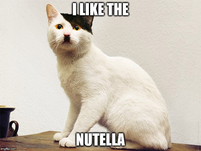 I LIKE THE NUTELLA | image tagged in kitler | made w/ Imgflip meme maker