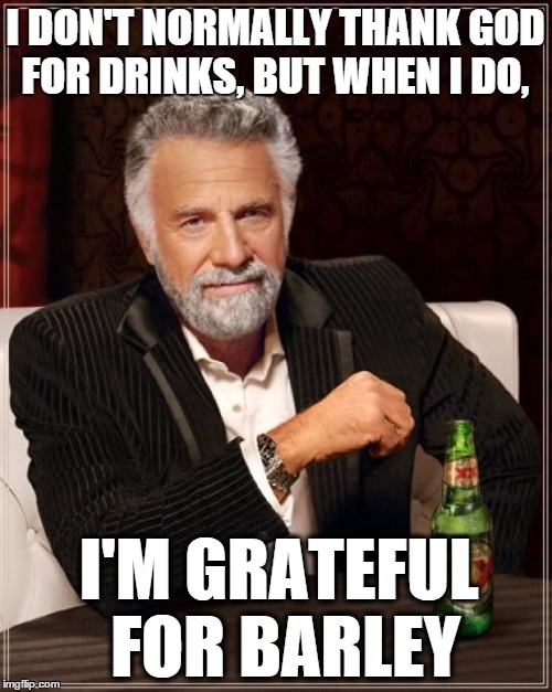 The Most Interesting Man In The World Meme | I DON'T NORMALLY THANK GOD FOR DRINKS, BUT WHEN I DO, I'M GRATEFUL FOR BARLEY | image tagged in memes,the most interesting man in the world | made w/ Imgflip meme maker
