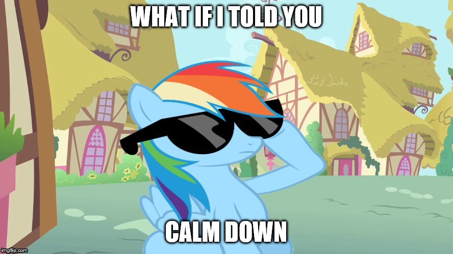 WHAT IF I TOLD YOU CALM DOWN | image tagged in rainbow dash shades | made w/ Imgflip meme maker