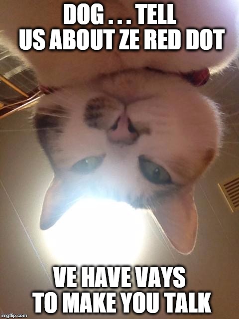 catsnap1 | DOG . . . TELL US ABOUT ZE RED DOT VE HAVE VAYS TO MAKE YOU TALK | image tagged in catsnap1 | made w/ Imgflip meme maker