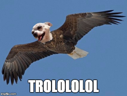 trolololol dog | TROLOLOLOL | image tagged in trolololol dog | made w/ Imgflip meme maker
