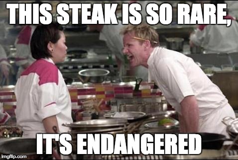 Angry Chef Gordon Ramsay Meme | THIS STEAK IS SO RARE, IT'S ENDANGERED | image tagged in memes,angry chef gordon ramsay | made w/ Imgflip meme maker