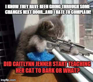 Sniper Cat | I KNOW THEY HAVE BEEN GOING THROUGH SOME CHANGES NEXT DOOR...AND I HATE TO COMPLAIN! DID CAITLYNN JENNER START TEACHING HER CAT TO BARK OR WHAT? | image tagged in memes,sniper cat,big changes,paxxx | made w/ Imgflip meme maker