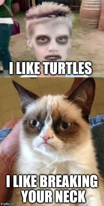 Grumpy cat(Again) | I LIKE TURTLES; I LIKE BREAKING YOUR NECK | image tagged in grumpy cat,funny | made w/ Imgflip meme maker
