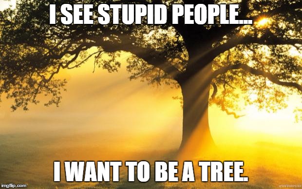nature | I SEE STUPID PEOPLE... I WANT TO BE A TREE. | image tagged in nature | made w/ Imgflip meme maker