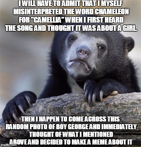 Confession Bear Meme | I WILL HAVE TO ADMIT THAT I MYSELF MISINTERPRETED THE WORD CHAMELEON FOR "CAMELLIA" WHEN I FIRST HEARD THE SONG AND THOUGHT IT WAS ABOUT A G | image tagged in memes,confession bear | made w/ Imgflip meme maker