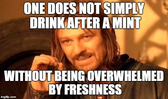 One Does Not Simply Meme | ONE DOES NOT SIMPLY DRINK AFTER A MINT; WITHOUT BEING OVERWHELMED BY FRESHNESS | image tagged in memes,one does not simply | made w/ Imgflip meme maker