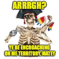 ARRRGH? YE BE ENCROACHING ON ME TERRITORY, MATEY | made w/ Imgflip meme maker