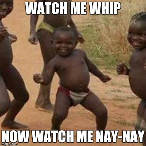 Third World Success Kid Meme | WATCH ME WHIP; NOW WATCH ME NAY-NAY | image tagged in memes,third world success kid | made w/ Imgflip meme maker