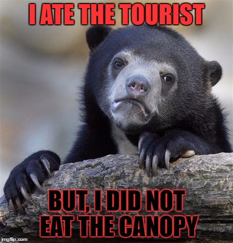 Confession Bear | I ATE THE TOURIST; BUT, I DID NOT EAT THE CANOPY | image tagged in memes,confession bear | made w/ Imgflip meme maker