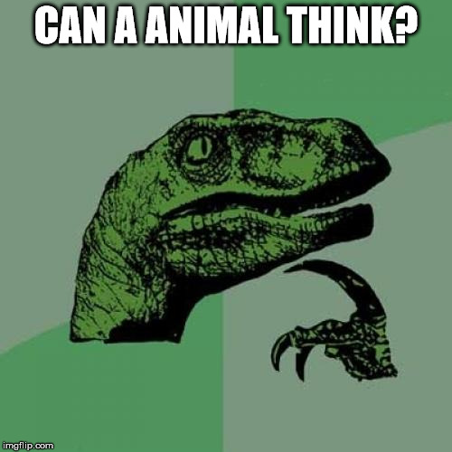 Philosoraptor | CAN A ANIMAL THINK? | image tagged in memes,philosoraptor | made w/ Imgflip meme maker