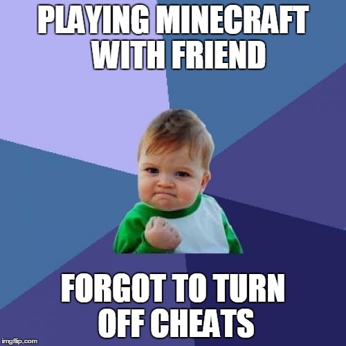 Success Kid Meme | PLAYING MINECRAFT  WITH FRIEND; FORGOT TO TURN OFF CHEATS | image tagged in memes,success kid | made w/ Imgflip meme maker