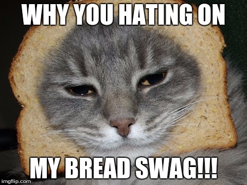 WHY YOU HATING ON; MY BREAD SWAG!!! | image tagged in so true memes | made w/ Imgflip meme maker