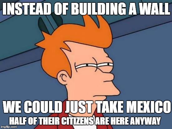 We will call it Old Mexico | INSTEAD OF BUILDING A WALL; WE COULD JUST TAKE MEXICO; HALF OF THEIR CITIZENS ARE HERE ANYWAY | image tagged in memes,futurama fry,funny memes,illegal immigration,mexico | made w/ Imgflip meme maker