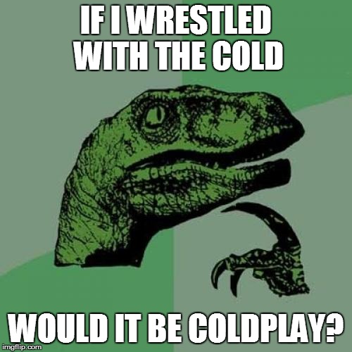 Philosoraptor Meme | IF I WRESTLED WITH THE COLD WOULD IT BE COLDPLAY? | image tagged in memes,philosoraptor | made w/ Imgflip meme maker