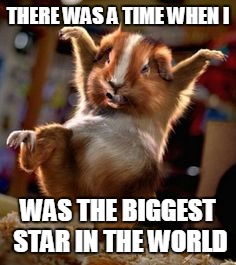 THERE WAS A TIME WHEN I WAS THE BIGGEST STAR IN THE WORLD | made w/ Imgflip meme maker