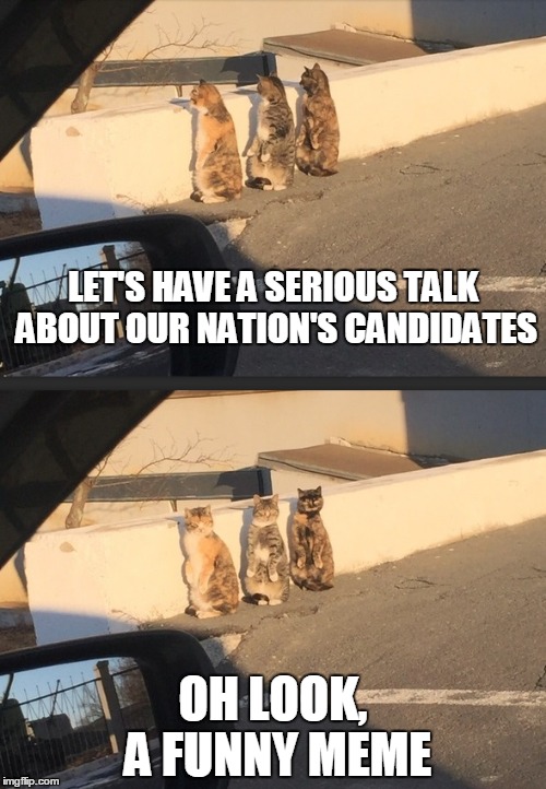 watching CNN like | LET'S HAVE A SERIOUS TALK ABOUT OUR NATION'S CANDIDATES; OH LOOK, A FUNNY MEME | image tagged in funny cats | made w/ Imgflip meme maker