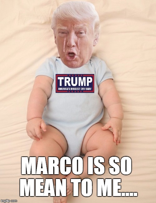 Crying Trump Baby | MARCO IS SO MEAN TO ME.... | image tagged in crying trump baby | made w/ Imgflip meme maker