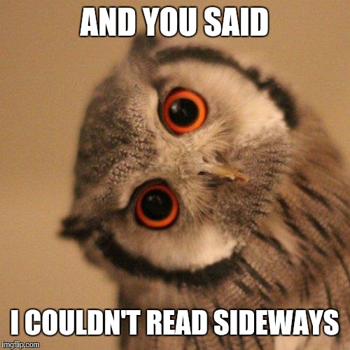 inquisitve owl | AND YOU SAID; I COULDN'T READ SIDEWAYS | image tagged in inquisitve owl | made w/ Imgflip meme maker