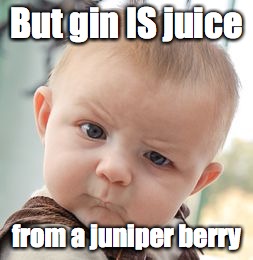 Skeptical Baby Meme | But gin IS juice from a juniper berry | image tagged in memes,skeptical baby | made w/ Imgflip meme maker