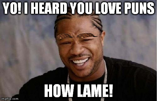 The hats fit so perfectly I couldn't resist! | YO! I HEARD YOU LOVE PUNS; HOW LAME! | image tagged in memes,yo dawg heard you,scumbag | made w/ Imgflip meme maker