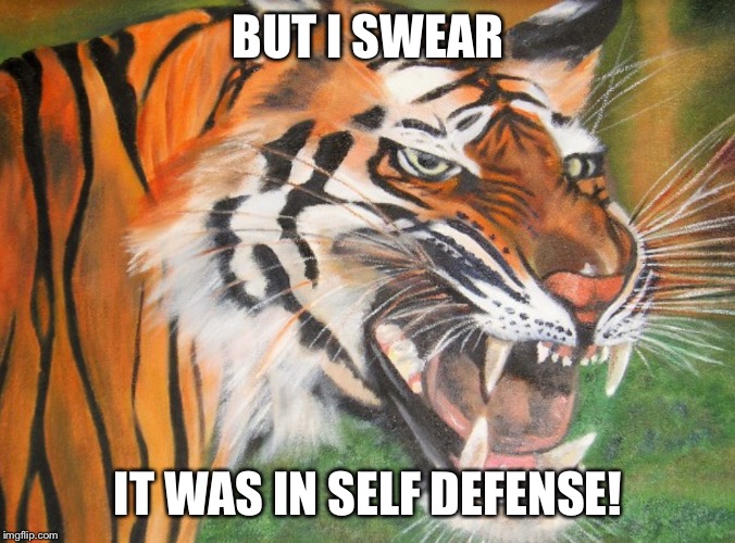 Hipster tiger | BUT I SWEAR IT WAS IN SELF DEFENSE! | image tagged in hipster tiger | made w/ Imgflip meme maker