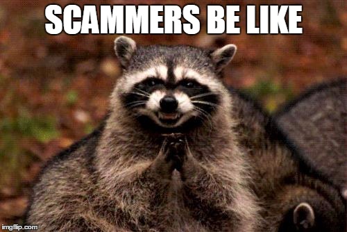 Evil Plotting Raccoon | SCAMMERS BE LIKE | image tagged in memes,evil plotting raccoon | made w/ Imgflip meme maker