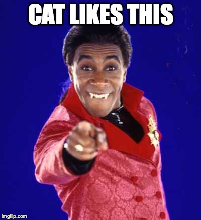 Cat red dwarf | CAT LIKES THIS | image tagged in cat red dwarf | made w/ Imgflip meme maker